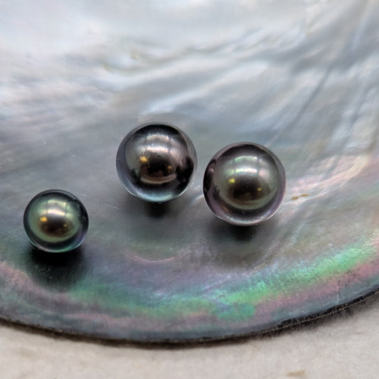 Primo Black 11 mm x2