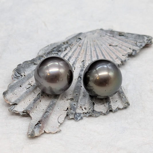 Tahitian classic grey 12.6 x 2 AA