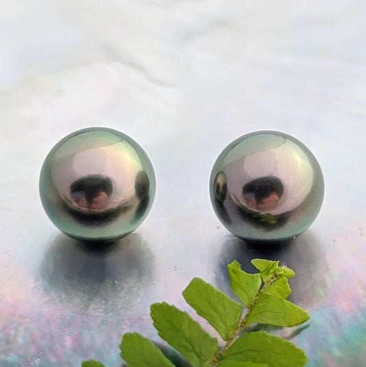 Peacock Excellence 11 mm x 2