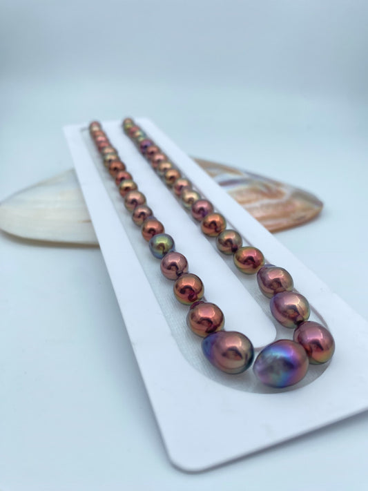 Dragon Baroque Multi