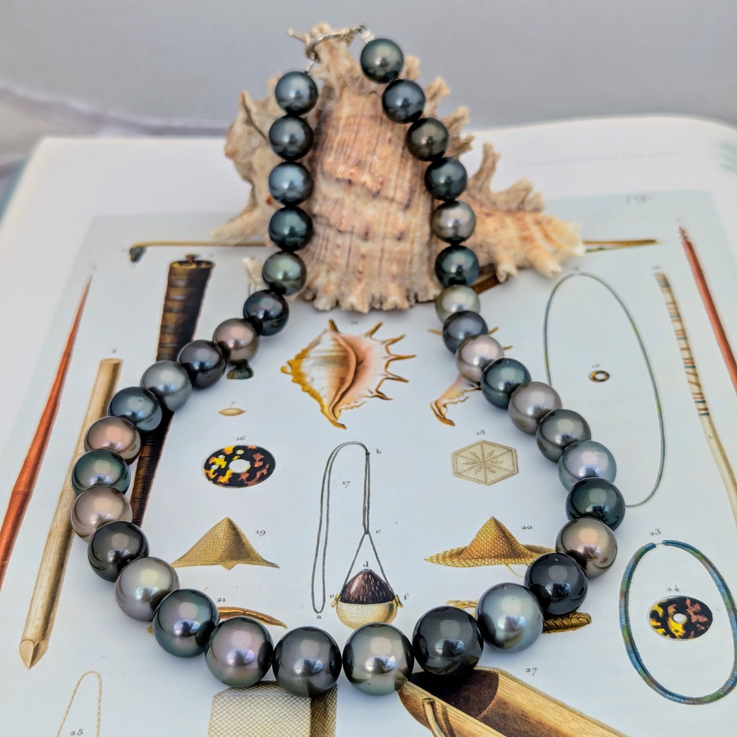 Island Lux Multi 2026