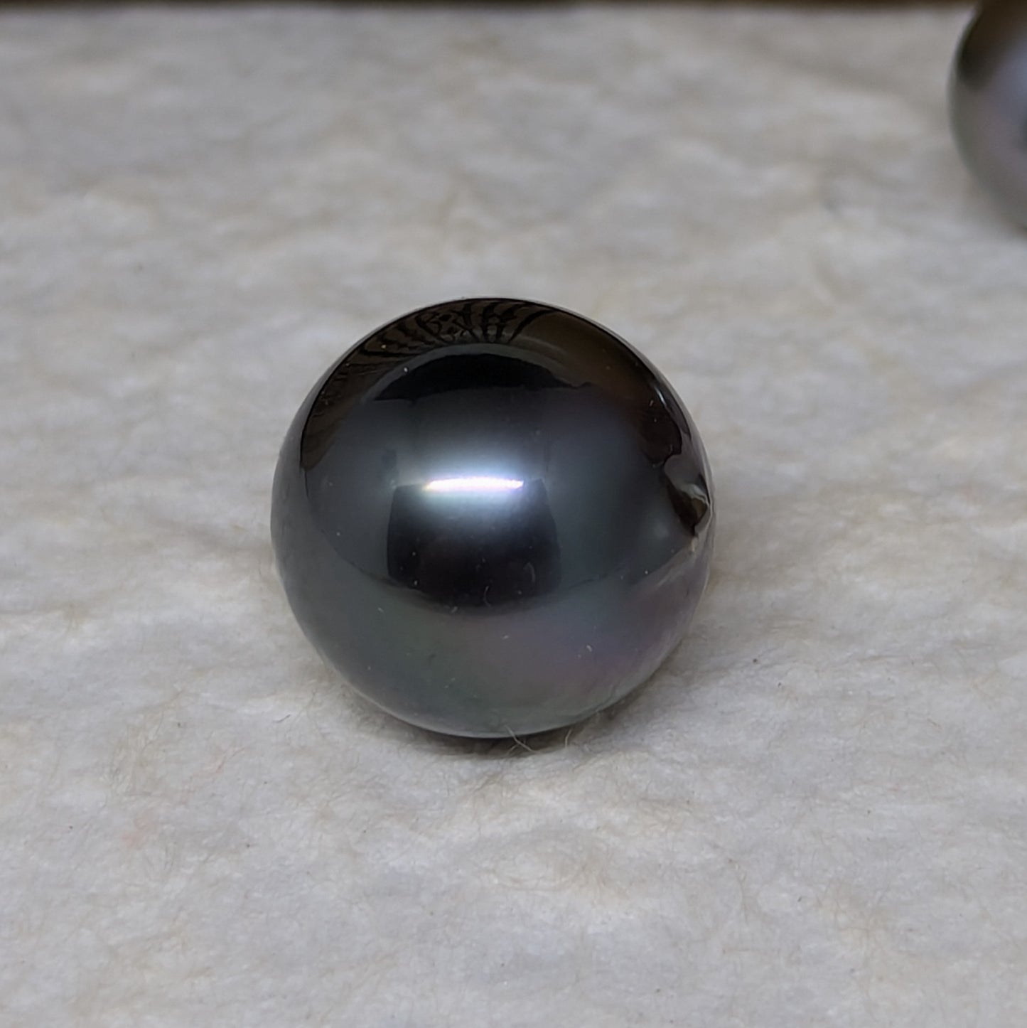 Black Island Beauty 15.2 mm