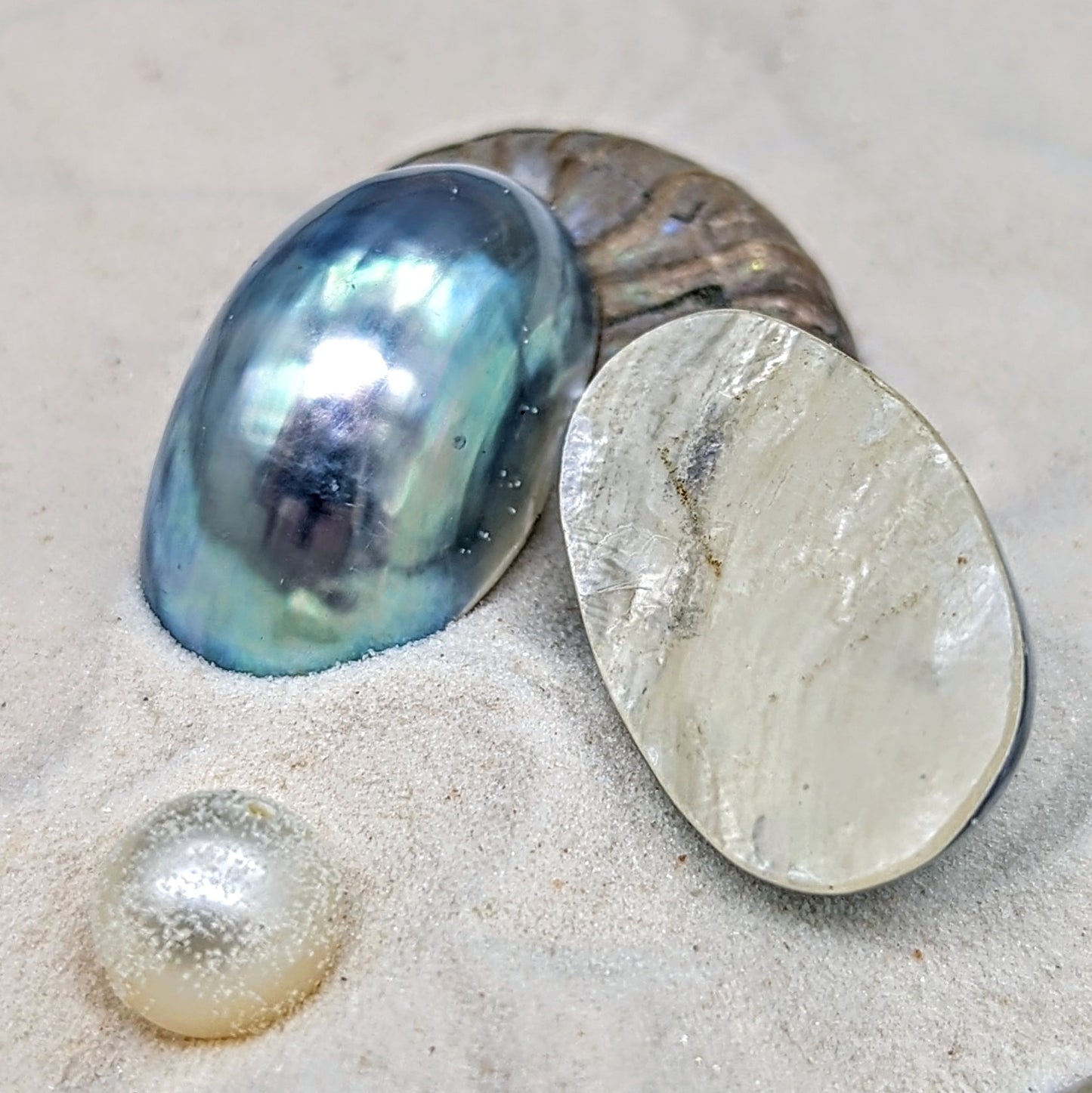 Primo Blue Nautilus Cabochon single 17 mm