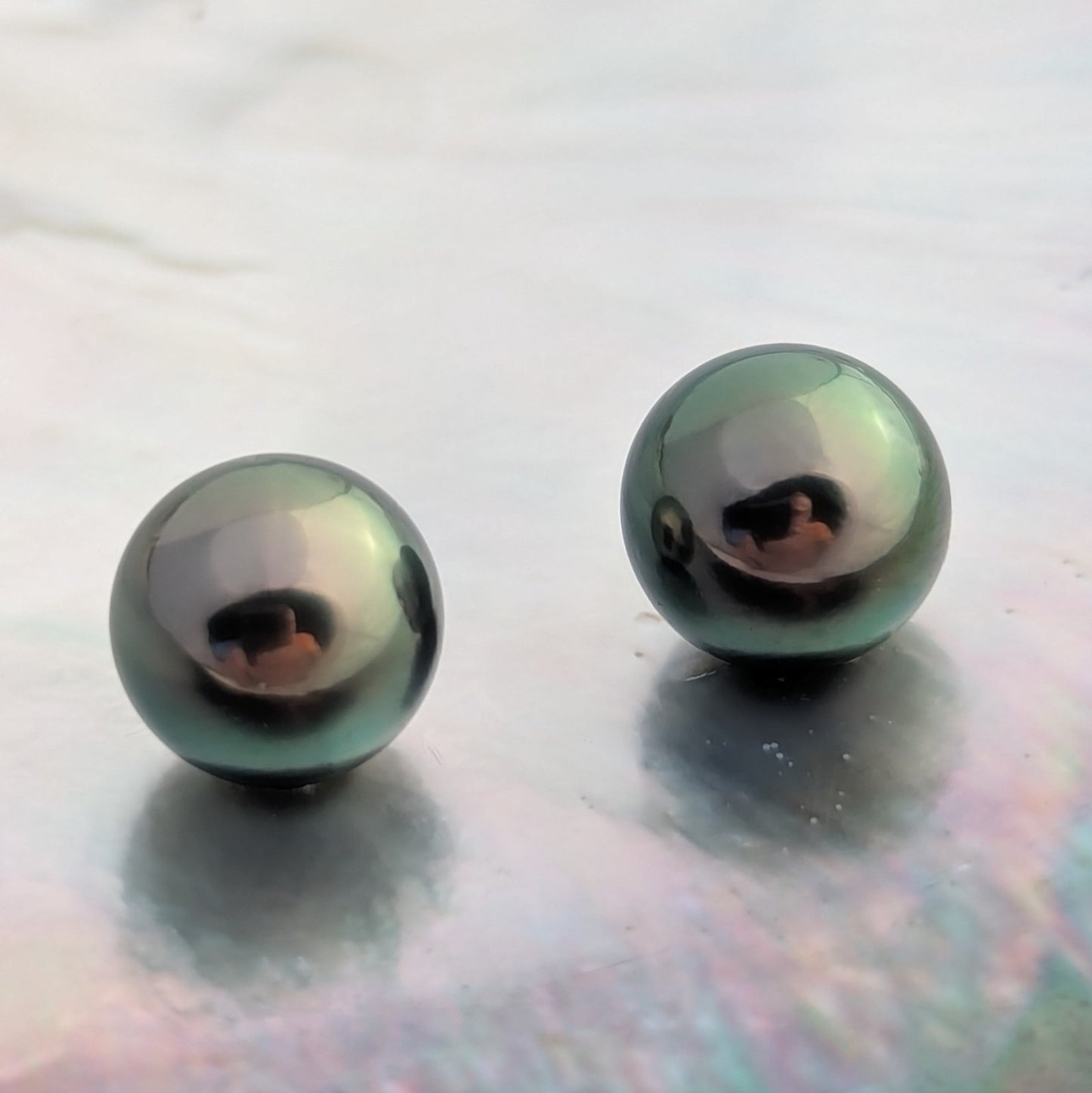 Peacock excellence AAA 10.1-10.2 mm