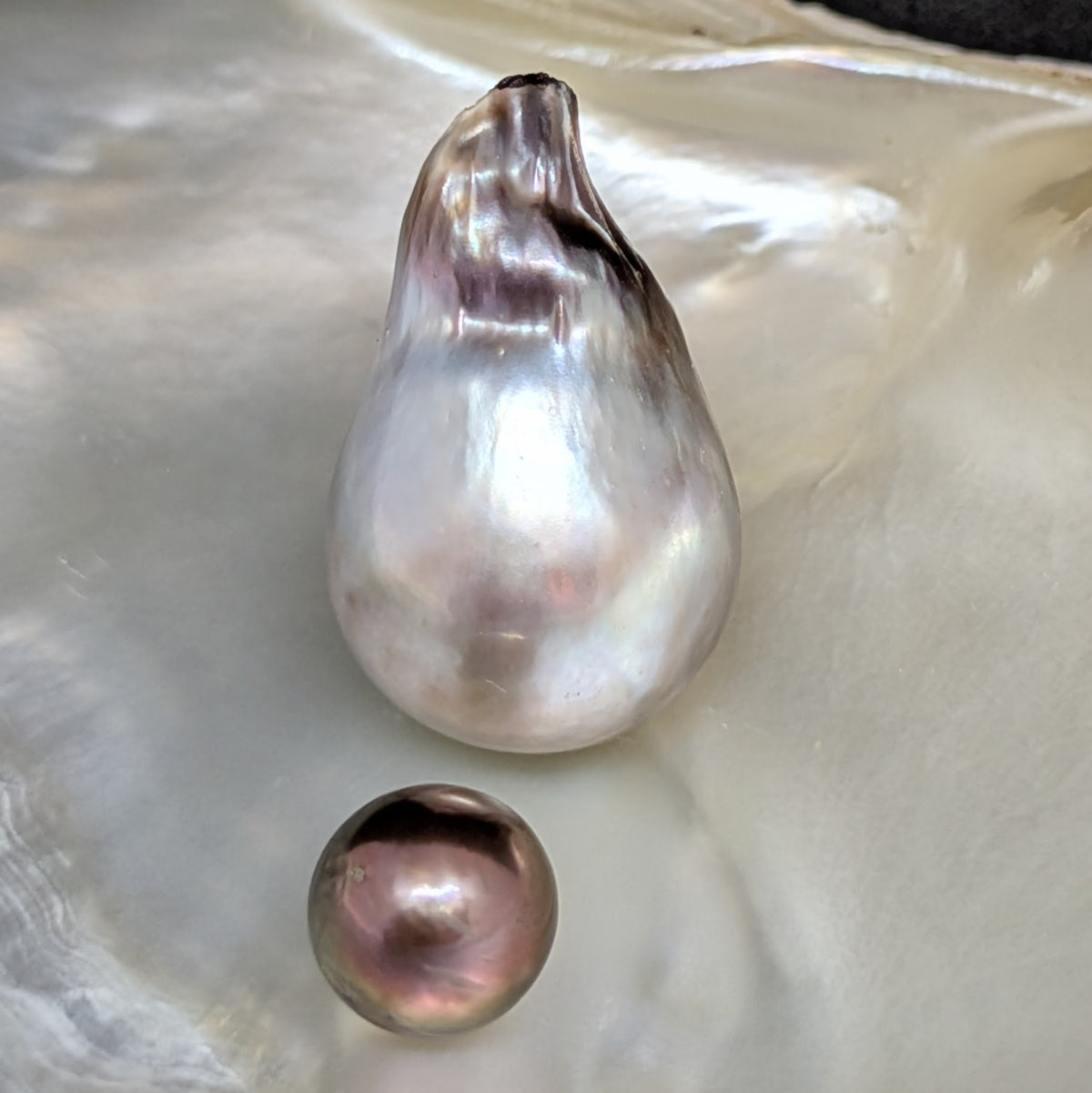 Tahitian Majestic 15.9 x 24 mm