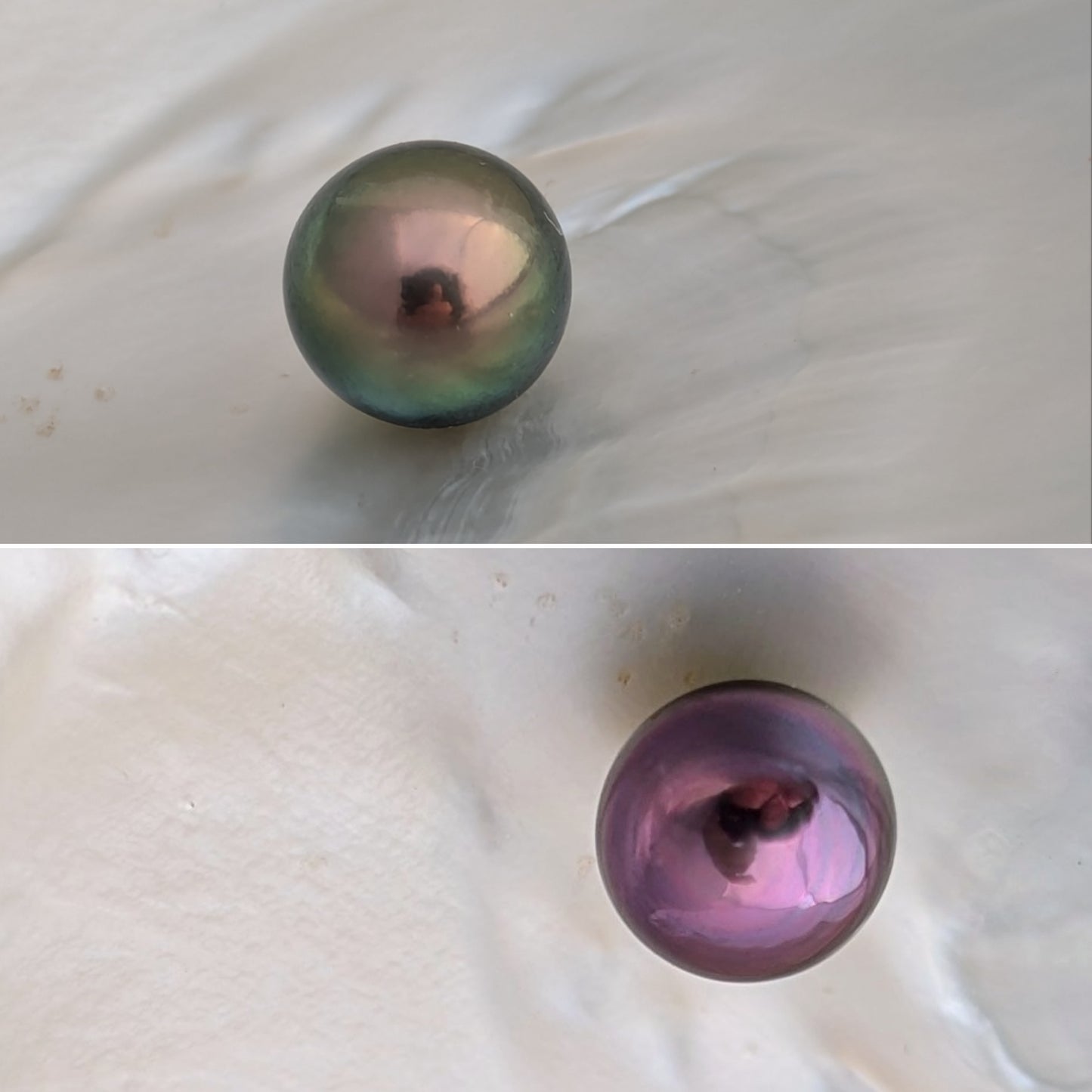 Peacock & Purple Tahitians 11.1 mm