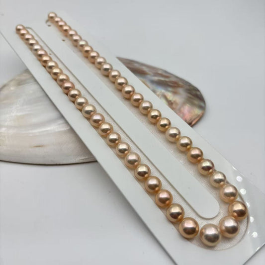 Primo Edison Champagne