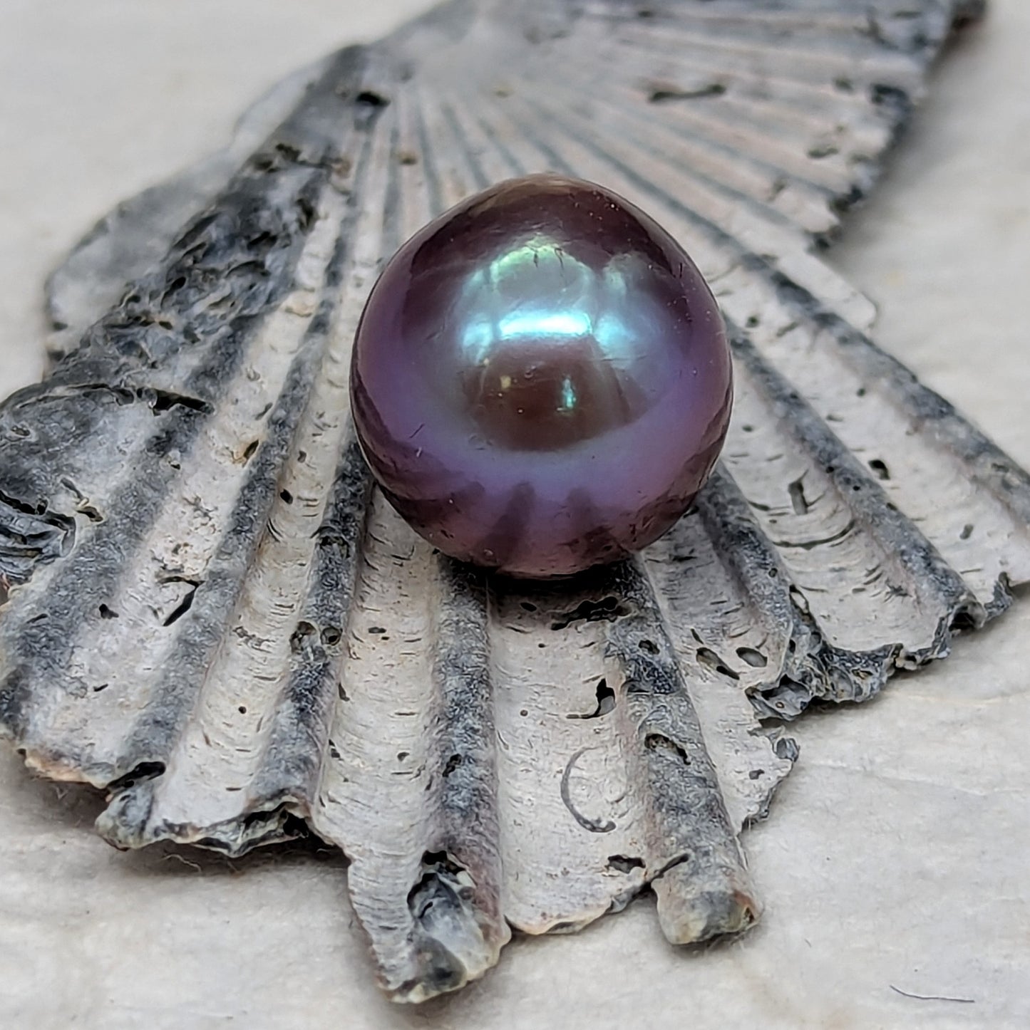 Purple Queen 13.6 mm
