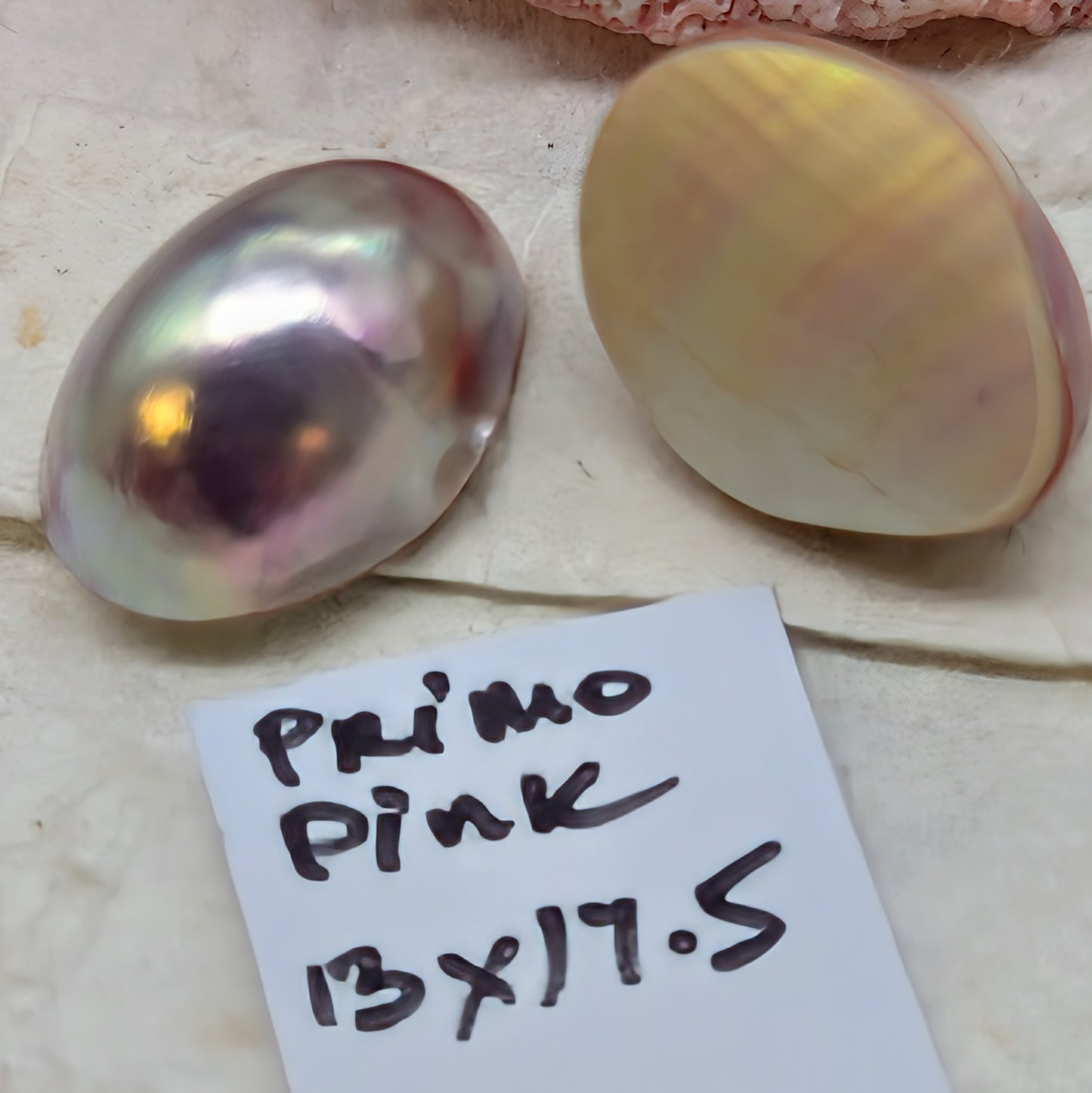 Nautilus Primo Pink drop pair 13 mm