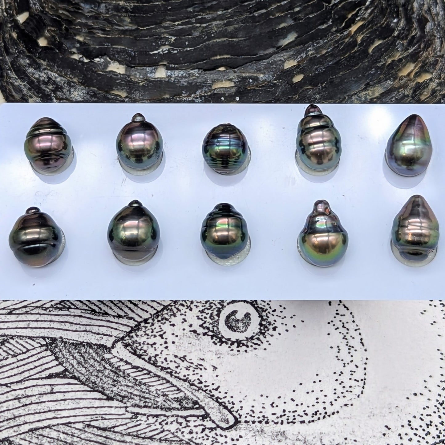 Circled Delights pairs 11 mm