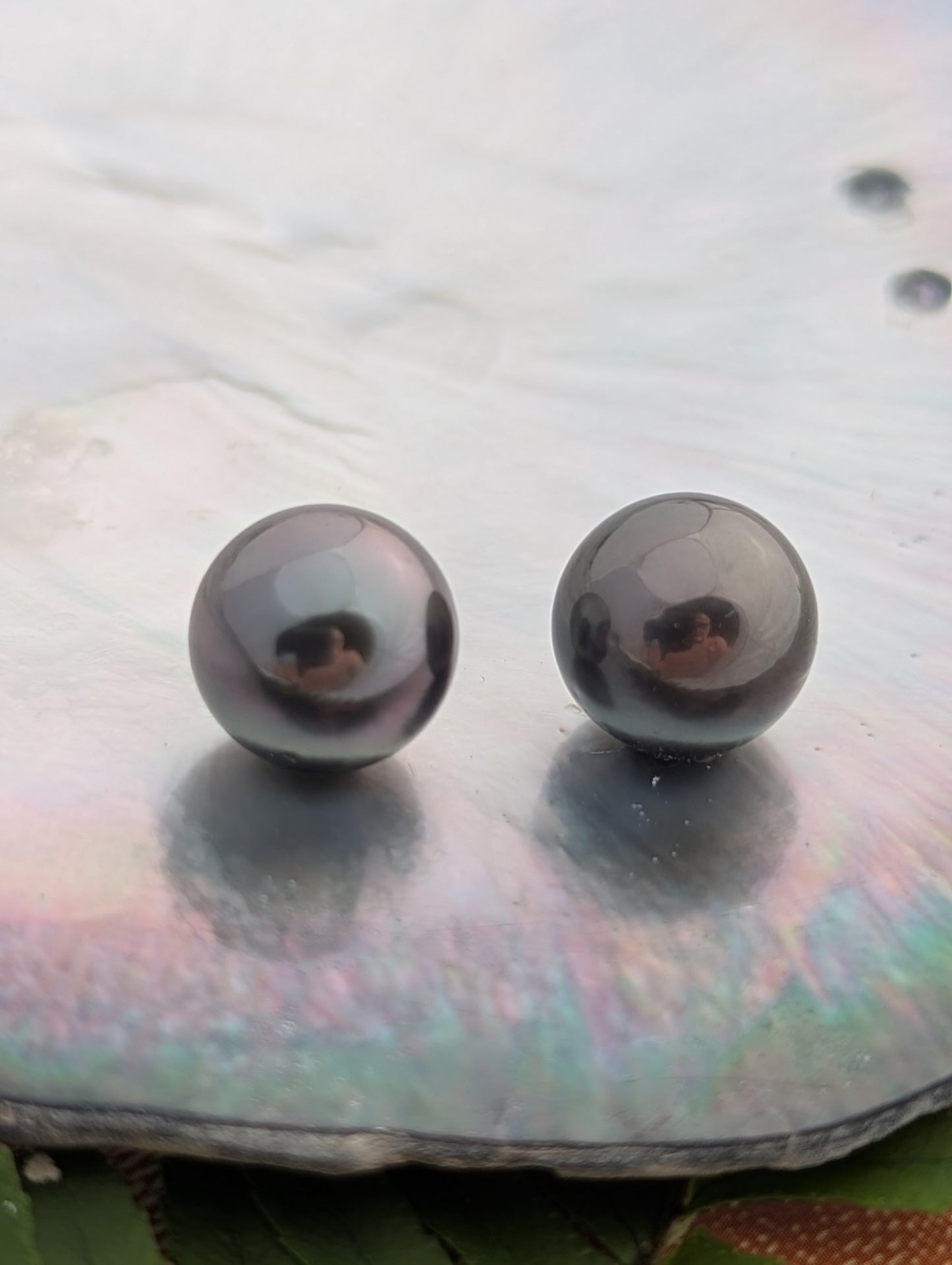 Aubergine Max 11.9 mm x 2