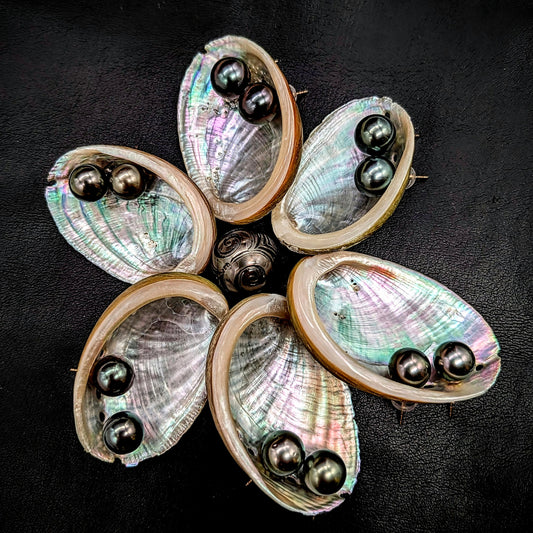 Tahitian studs you love