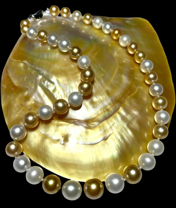 The Maxima Nereid Medley