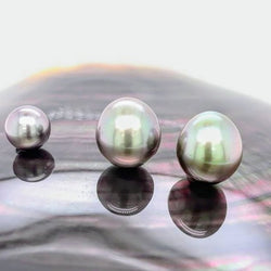 Pistachio Twins x 12 mm