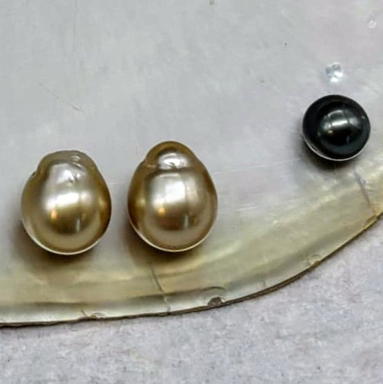 Golden Sisters 12 mm