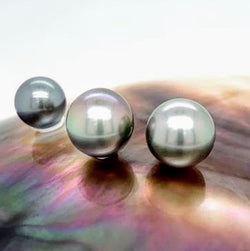 Dark Pistachio twins 10.9-10.8 mm