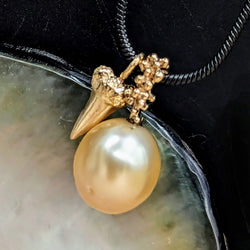 Champagne 11 & 12 mm