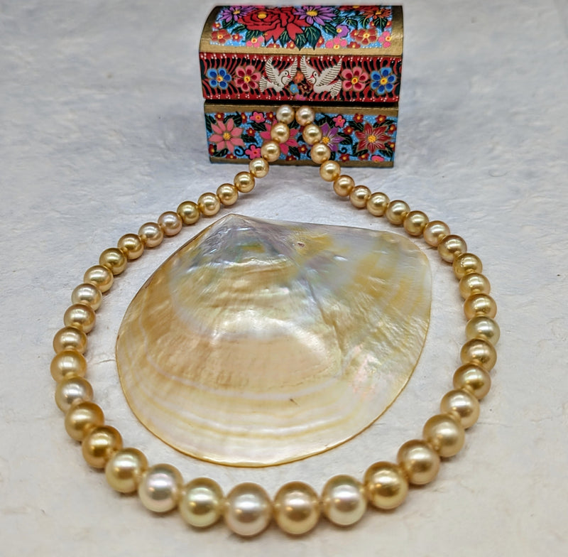 The Maxima Necklace