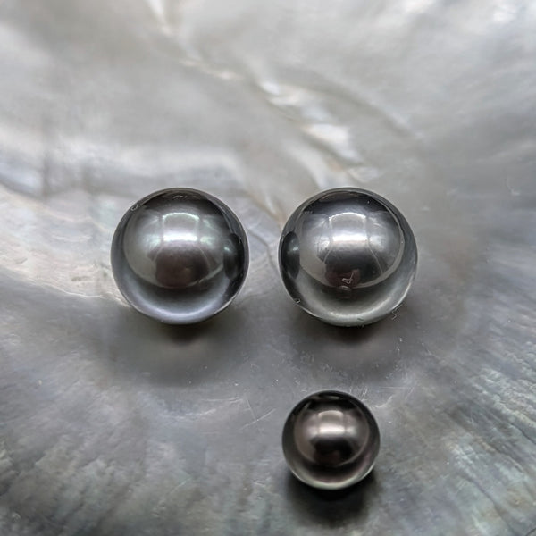 Royal Tahitians 15.2 mm