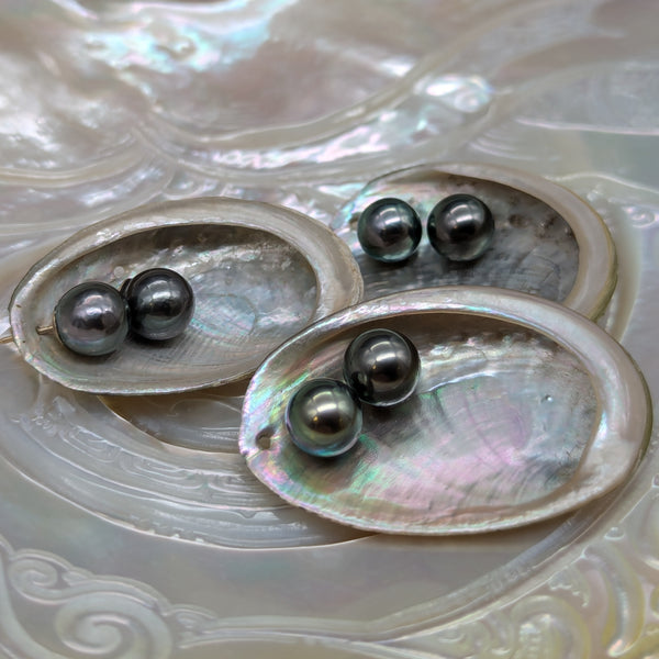 Blue green Tahitian 9 mm studs