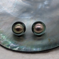 Peacock Delights 9 mm