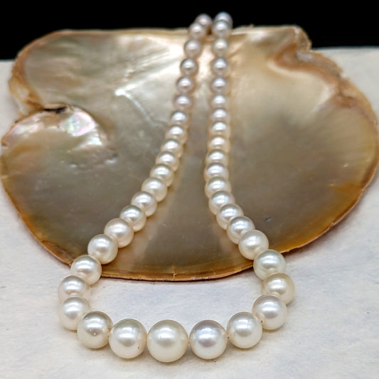 La Bryd Necklace