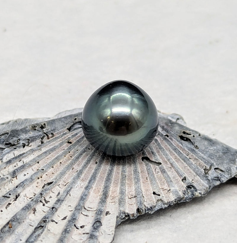 Fat Tahitian Drop 11.7 mm