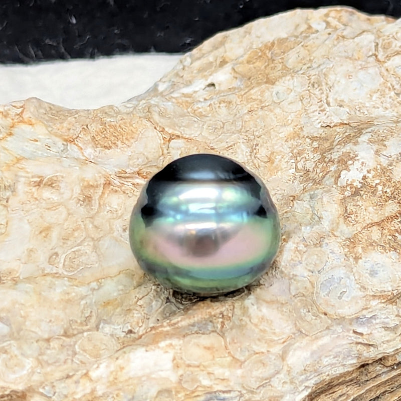 Tahitian Magic 14.5 mm
