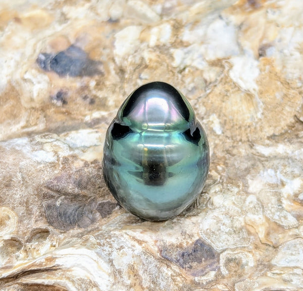 Nereid  13.7 mm