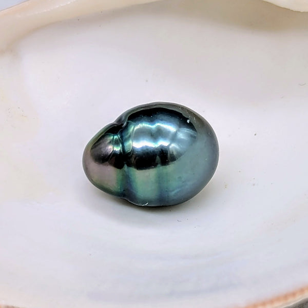 Nereid  13.7 mm