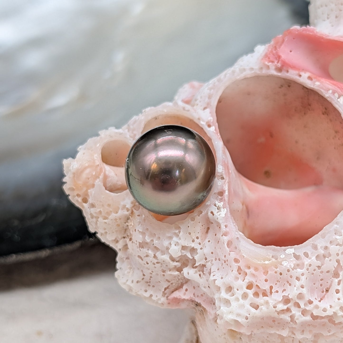 11mm AAA Tahitian Pearl — Peacock, Rose & Gold Overtones | Goldsmith Ring Stone
