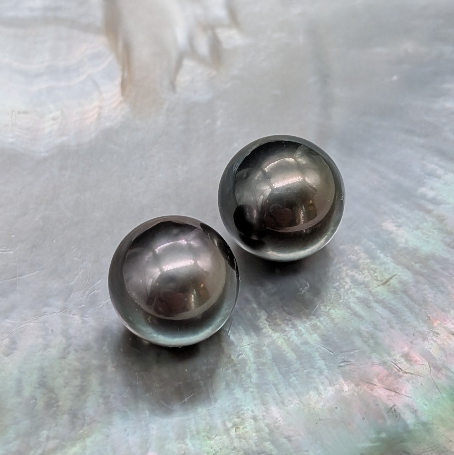 Tahitian classic grey 12.3 x 2 AA