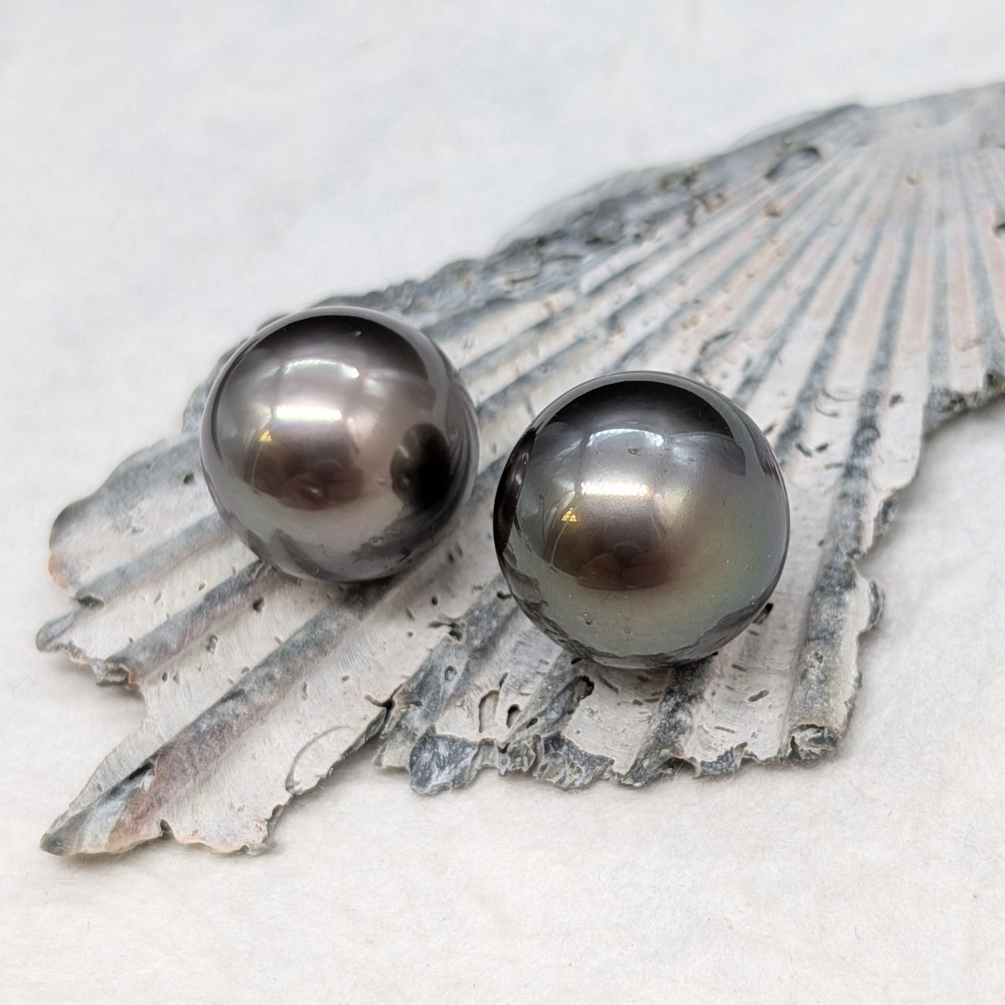 Tahitian classic grey 12.6 x 2 AA