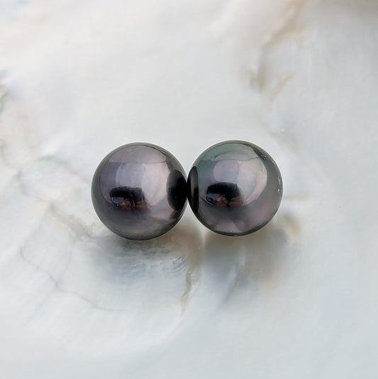 Aubergine Tahitian 11.6-11.8 mm