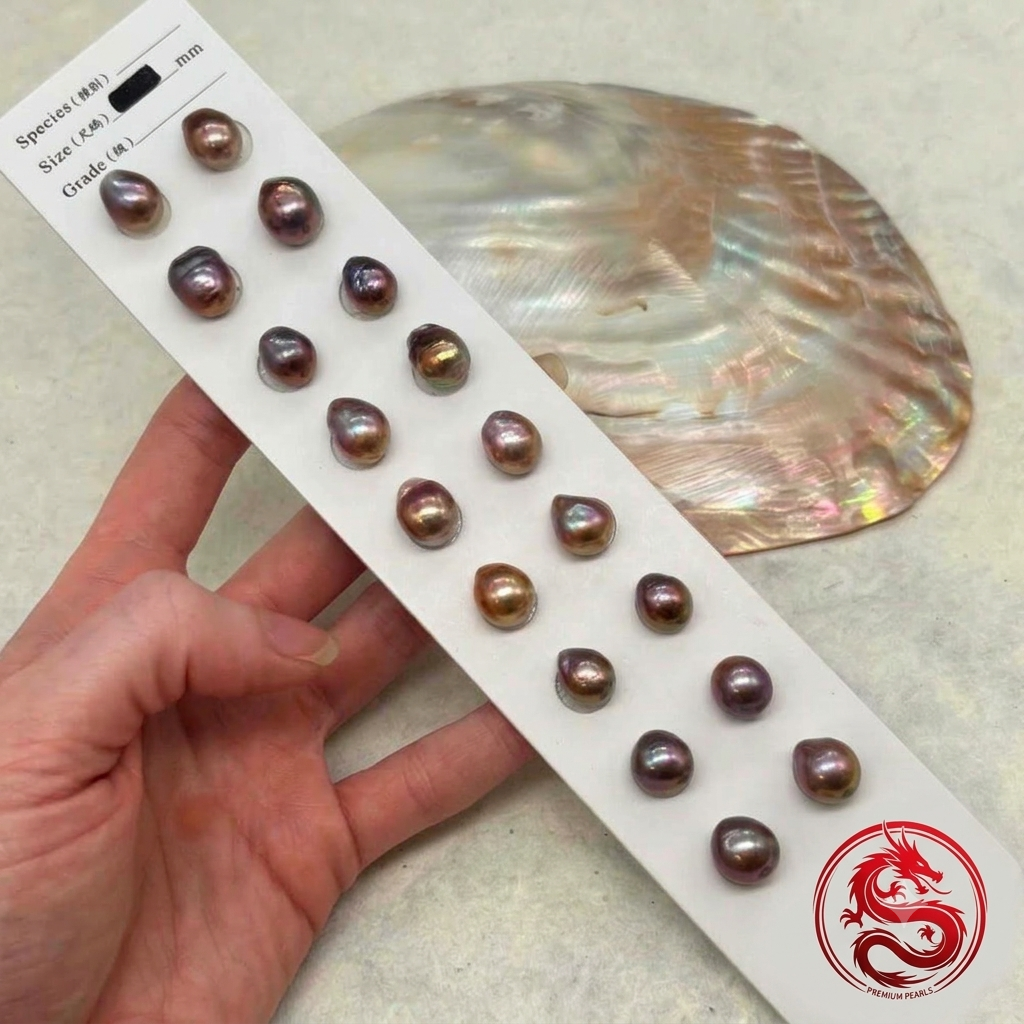 Dragon Brq pairs 11-12 mm