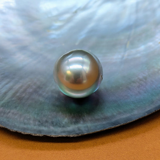 Tahitian Silverado 14.5 mm
