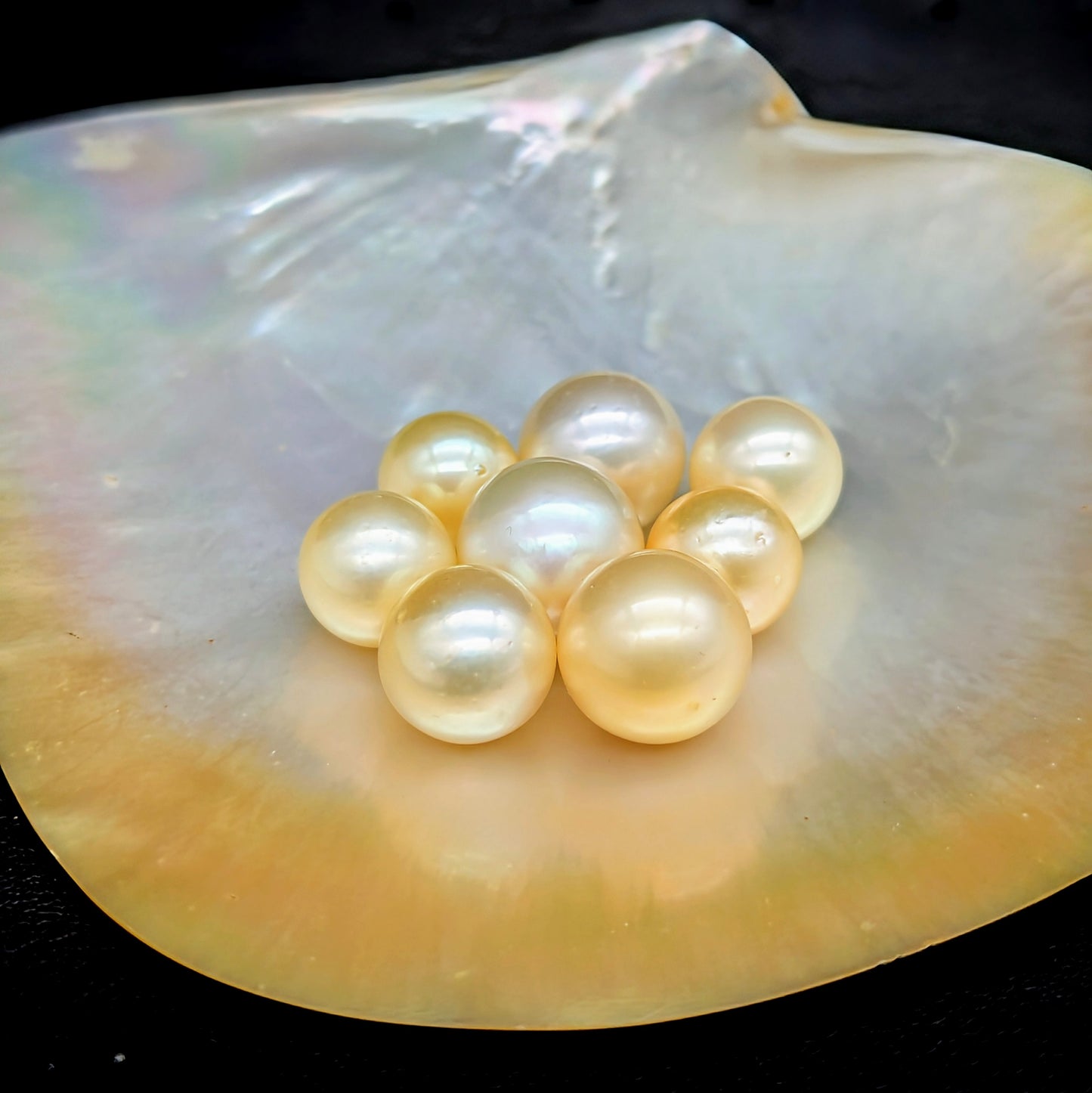 Moon Gold South Sea pearls 12-13 mm