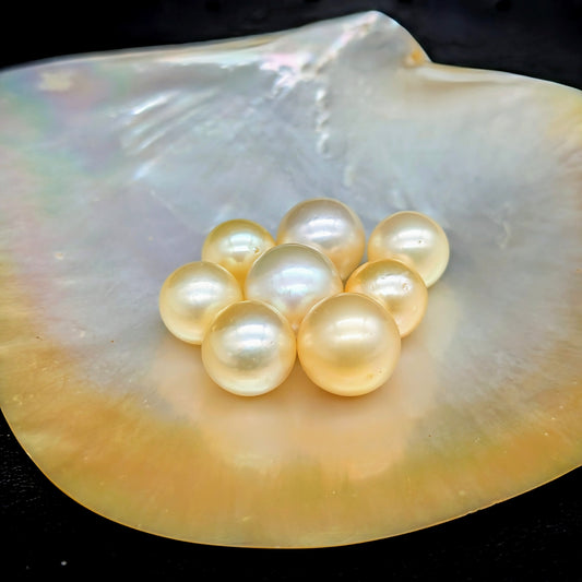 Moon Gold South Sea pearls 12-13 mm