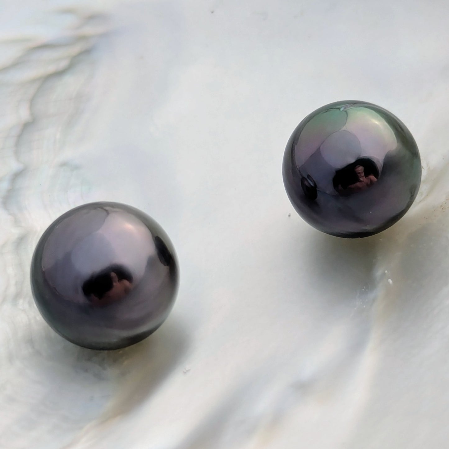 Aubergine Tahitian 11.6-11.8 mm