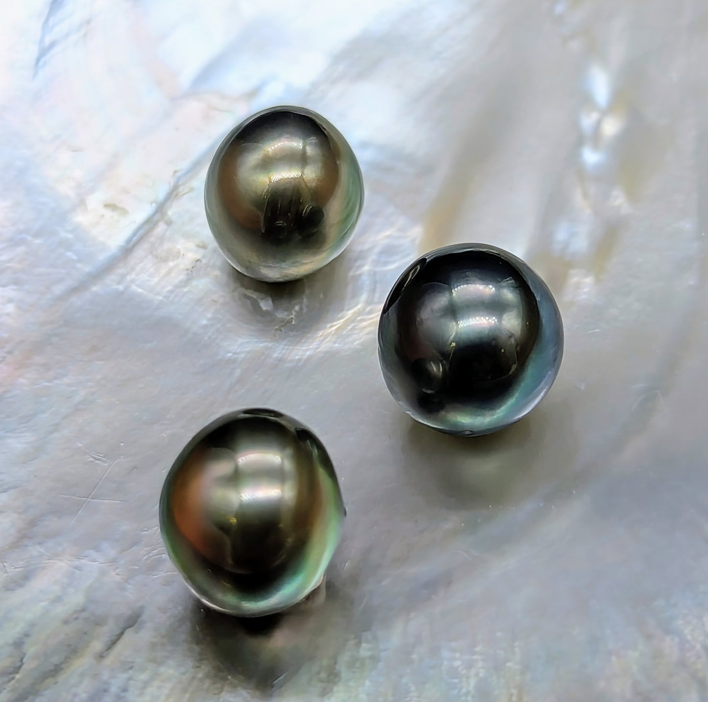Round buttons 14 mm