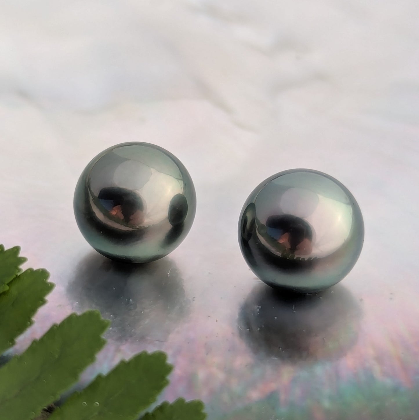 Green Peacock AAA 11.6-11.7 mm