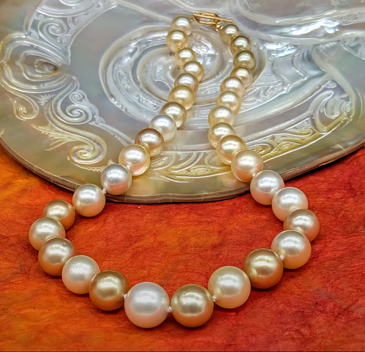 Aurelia Golden South Sea Pearl Choker