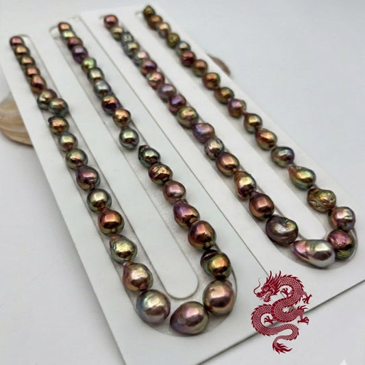 Dragon Baroque Multi+