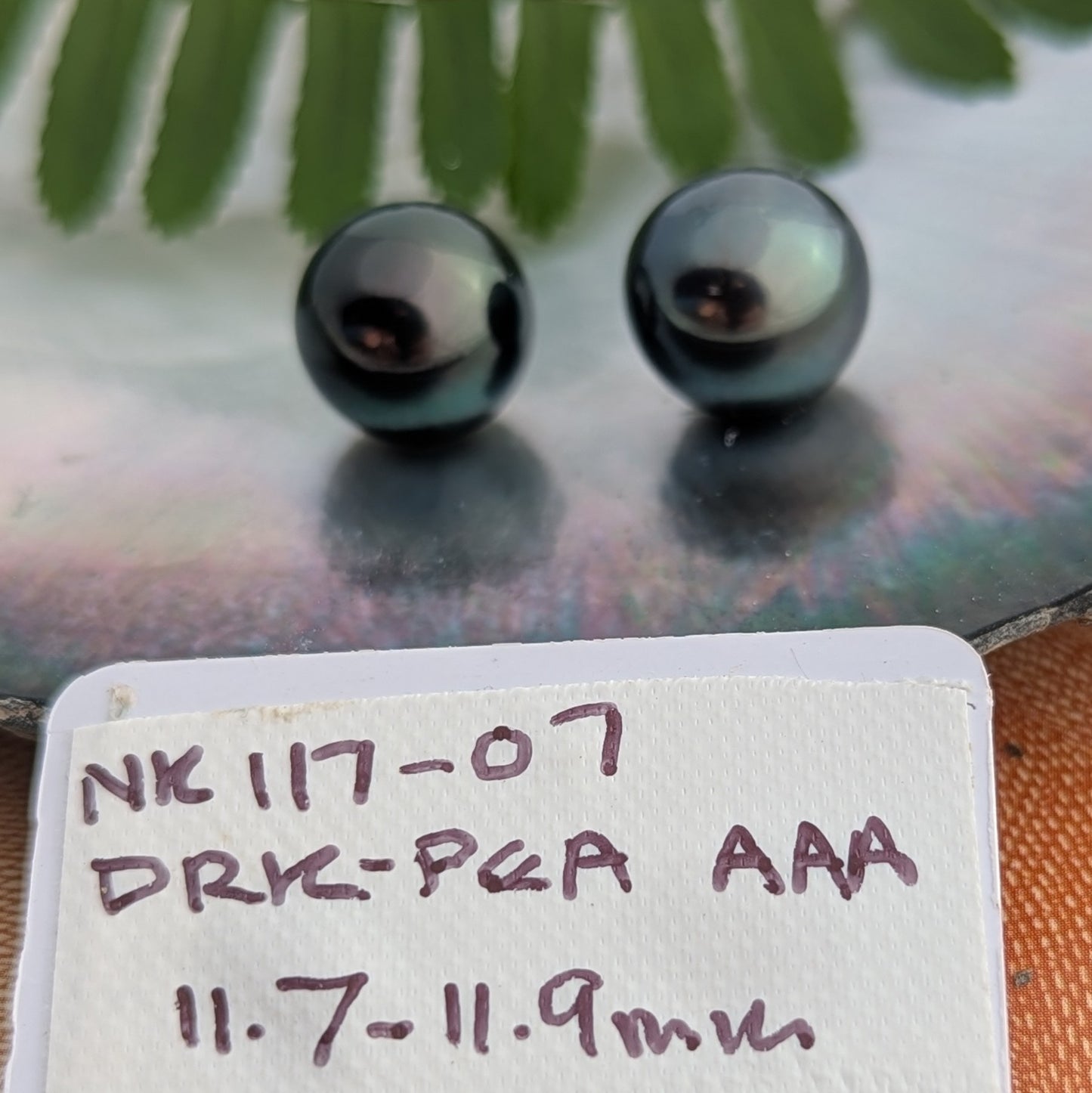 Deep Dark AAA Peacock 11.7-11.9 mm