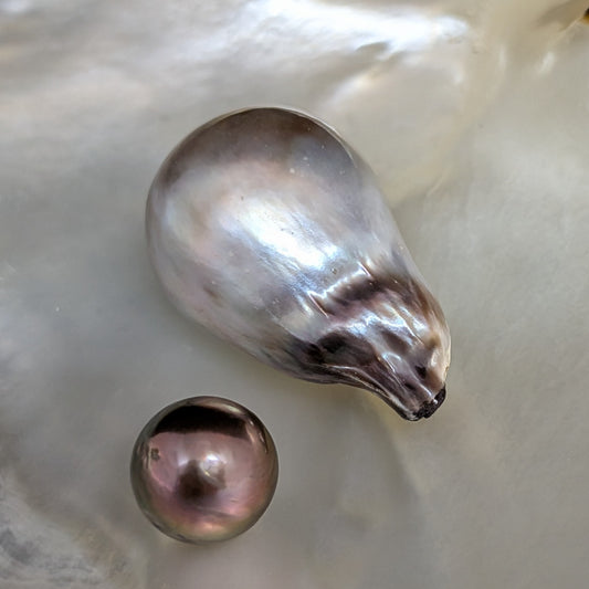 Tahitian Majestic 15.9 x 24 mm