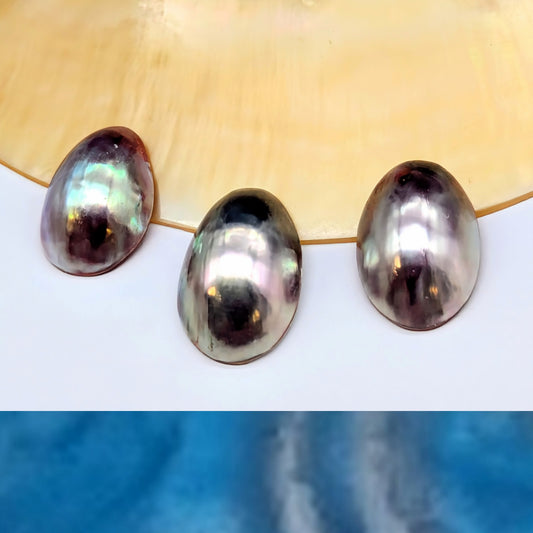 Nautilus primo pink cab trio