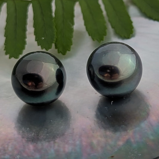 Deep Dark AAA Peacock 11.7-11.9 mm