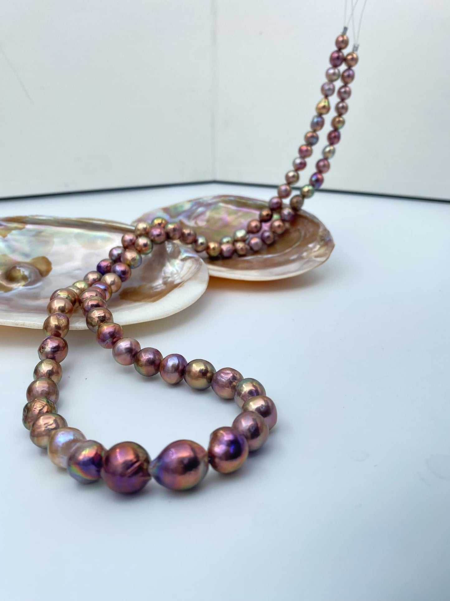 Dragon Multi Tone Opera