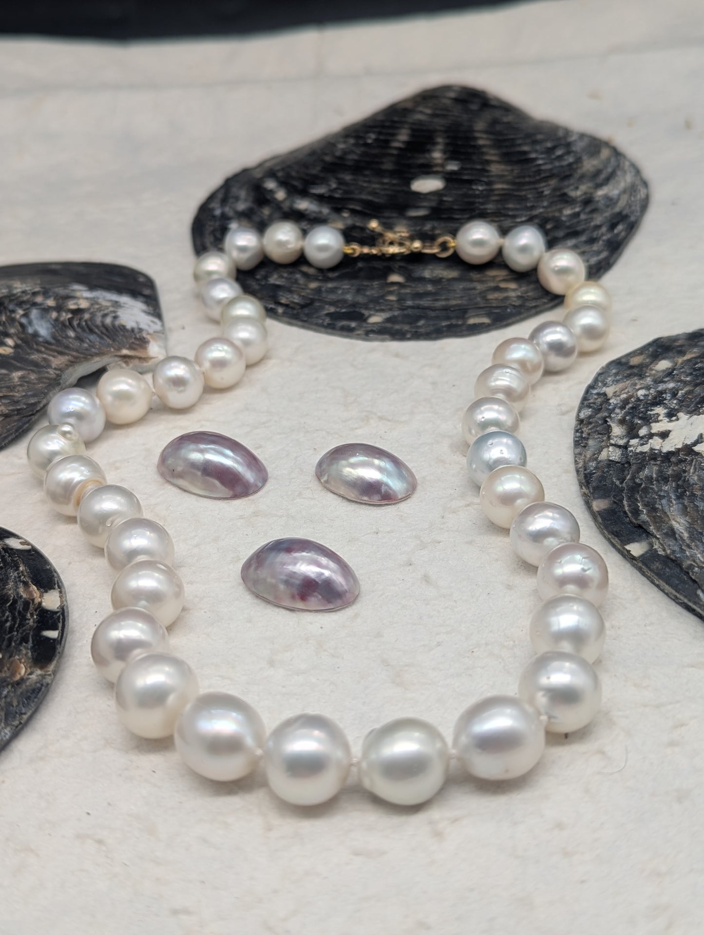 South Sea Baroque Delish