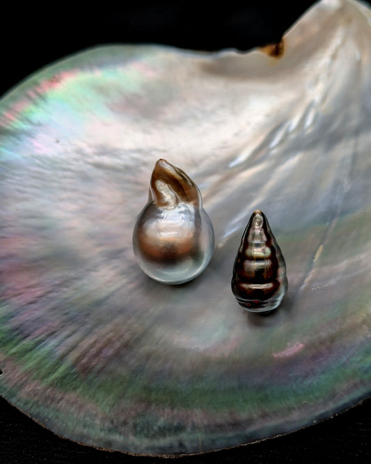Oceanic Wonders
